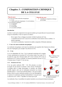 Composition Chimique de la Cellule : Eau, Molécules Organiques et Inorganiques