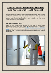 Trusted Mould Inspection Services And Professional Mould Removal