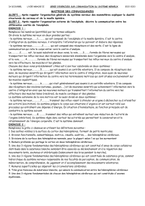 Exercices Syst&egrave;me Nerveux : Organisation, Cerveau, Moelle &Eacute;pini&egrave;re