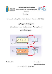 Effet Pyro&eacute;lectrique: Fonctionnement & &Eacute;talonnage Capteurs PIR