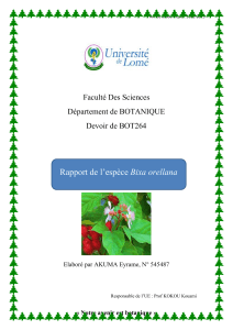 Rapport Botanique : Bixa orellana - Caract&eacute;ristiques et Usages