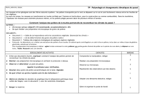 TP Palynologie et Climats Passés: Analyse Pollens et Tourbe