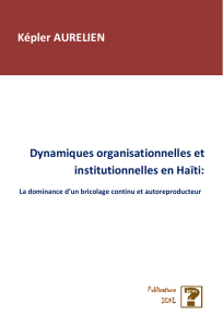 Dynamiques organisationnelles et institutionnelles en Ha&iuml;ti