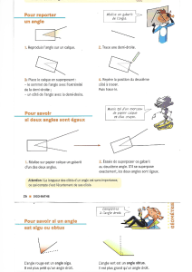 G&eacute;om&eacute;trie : Reporter, Comparer et Identifier les Angles