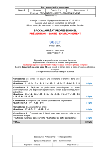 Sujet PSE Bac Pro : Télétravail, Santé et Environnement
