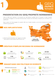 GEIQ Propreté Normandie : Insertion et Emploi dans la Propreté