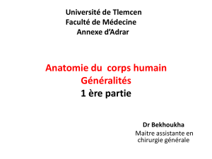 Anatomie du Corps Humain : G&eacute;n&eacute;ralit&eacute;s - Cours de M&eacute;decine