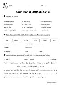 Exercices sur l'adjectif qualificatif - Grammaire Française
