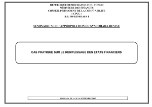 Cas pratique SYSCOHADA révisé : Remplissage états financiers