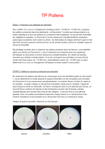 TP Pollens (1)