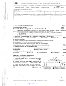 Devoir SVTEEHB : Préjugés et Anomalies Génétiques