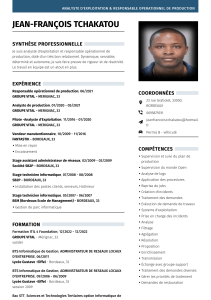 CV Analyste d'Exploitation & Responsable Production - Jean-Fran&ccedil;ois TCHAKATOU