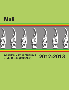 Mali EDSM V 2012-2013 : Enqu&ecirc;te D&eacute;mographique et de Sant&eacute;