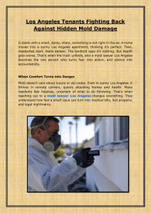 Los Angeles Tenants Fighting Back Against Hidden Mold Damage