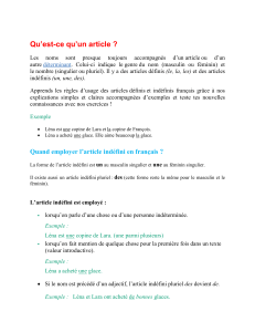Articles définis et indéfinis : cours de grammaire française