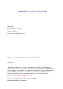 Cr&eacute;ation d'Entreprise en Guin&eacute;e: Proc&eacute;dures et Statuts Juridiques (OHADA)