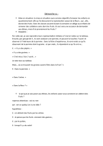 D&eacute;marche p&eacute;dagogique: Reproduction sexu&eacute;e des fleurs et fruits