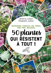 50 Plantes R&eacute;sistantes : S&eacute;cheresse, Gel, Vent, Maladies | Guide Jardinage