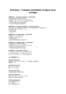 Exercices corrig&eacute;s : Triangles semblables et &eacute;gaux - G&eacute;om&eacute;trie