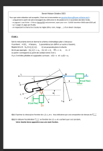 SujetDM-Toussaint.pdf - Google Drive