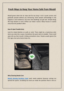 Fresh Ways to Keep Your Home Safe from Mould