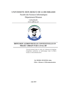 Diffusion Audiovisuelle Contextuelle Urbaine par Canal RF - UDBL