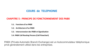 PABX : Principe, Fonctions, Architecture et Signalisation en Téléphonie