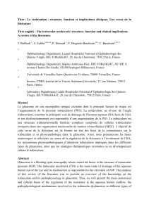 Le trab&eacute;culum : structure, fonction et implications cliniques