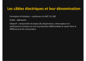 Formation disjoncteurs diffs