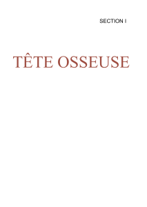Anatomie de la T&ecirc;te Osseuse : Cr&acirc;ne et Face - Morphologie Externe et Interne