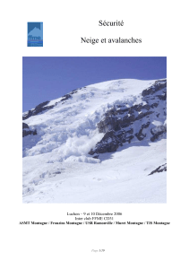 Manuel Formation Neige Avalanches