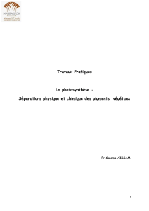 Séparation Pigments Pr Aissam 251006 232447