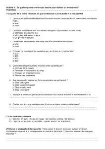 Activit&eacute; 1   2025  Les organes n&eacute;cessaires au mouvement (3)