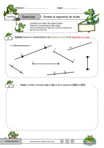 Droites-et-segments-de-droite-Exercices
