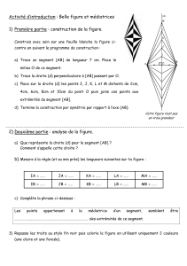 Activit&eacute; G&eacute;om&eacute;trie: Construction et Analyse de Figures et M&eacute;diatrices