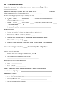 Fiche eleves copilot