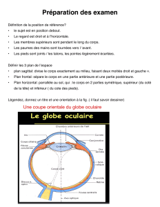 Pr&eacute;paration Examen 