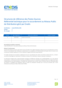 Enedis-PRO-RES 079E (4)