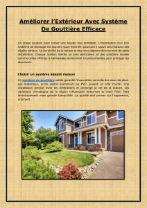 Am&eacute;liorer l&rsquo;Ext&eacute;rieur Avec Syst&egrave;me De Goutti&egrave;re Efficace