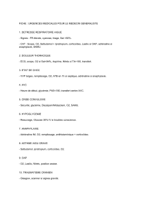Fiche Urgences Medecin Generaliste (1)