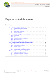 Cours de Math&eacute;matiques: Espaces Vectoriels Norm&eacute;s