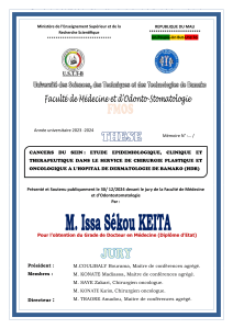 Th&egrave;se   de m&eacute;decine par Issa S&eacute;kou KEITA