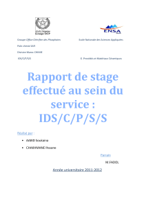 Rapport de stage: Production d'acide sulfurique chez OCP