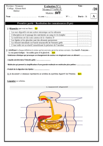 &Eacute;valuation SVT 3&egrave;me APIC Syst&egrave;me Digestif