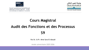 Cours Audit des Fonctions et Processus