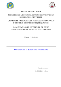 Syllabus Optimisation Simulation Stochastique