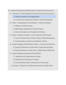Proc&eacute;dures d'Audit et &Eacute;valuation du Contr&ocirc;le Interne