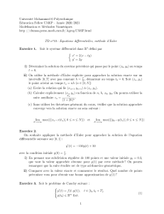 TD M&eacute;thode d'Euler &Eacute;quations Diff&eacute;rentielles
