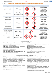 R&eacute;duction du camphre par le t&eacute;trahydruroborate de sodium