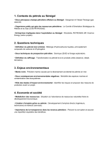 P&eacute;trole et Gaz au S&eacute;n&eacute;gal : Vue d'ensemble